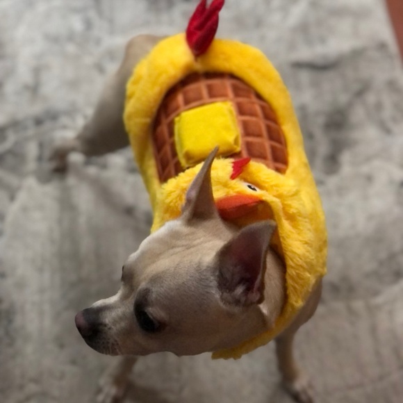 Meet your Posher, Mike - Picture 1 of 1